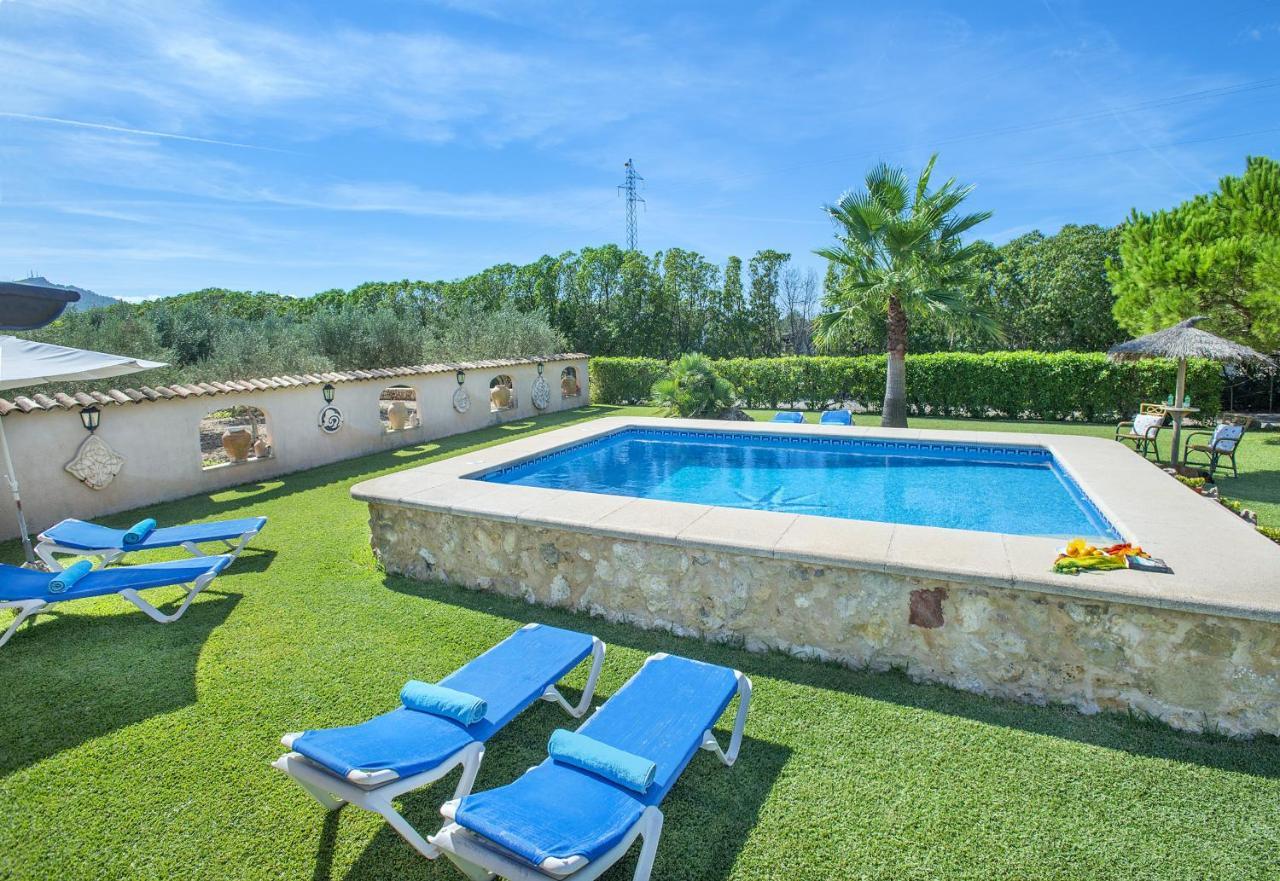 Owl Rocases - Rustic Alcudia (Mallorca)