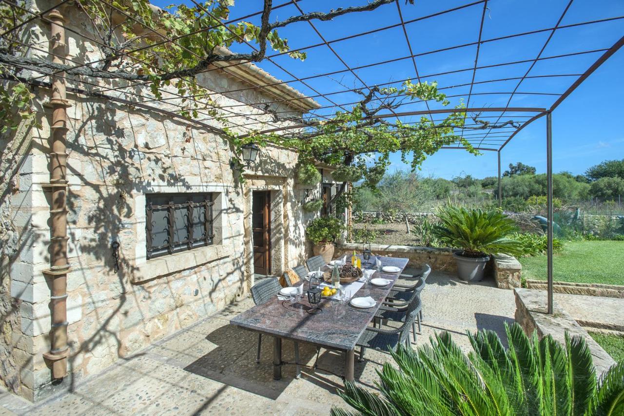 Owl Rocases - Rustic * Alcudia (Mallorca)